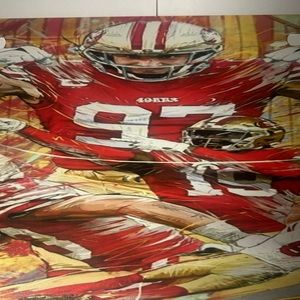 San Francisco 49ers License Plate